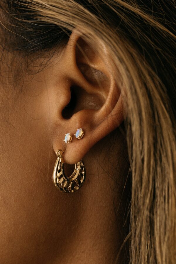 Elegant Hoop Earrings