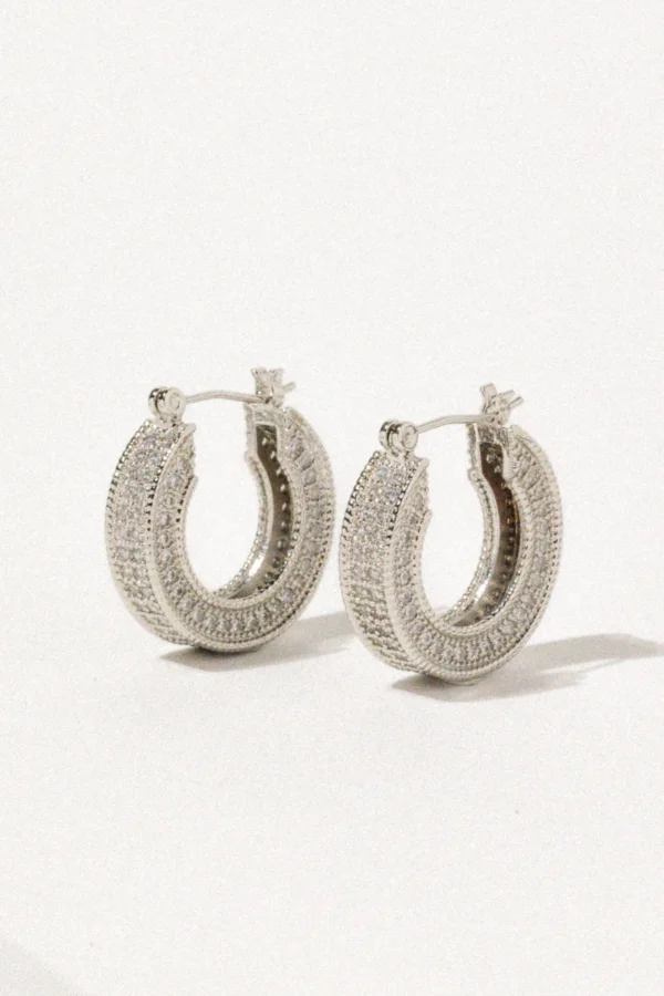 Elegant Hoop Earrings