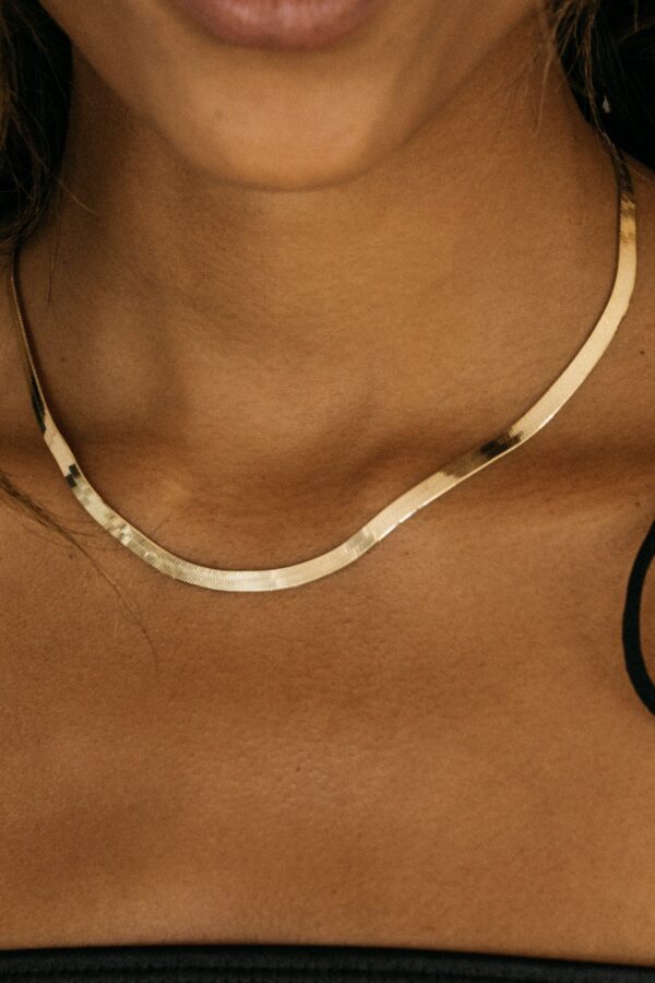 Elegant Snake Chain Necklace