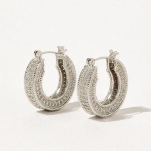 Elegant Hoop Earrings