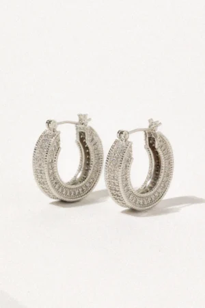 Elegant Hoop Earrings