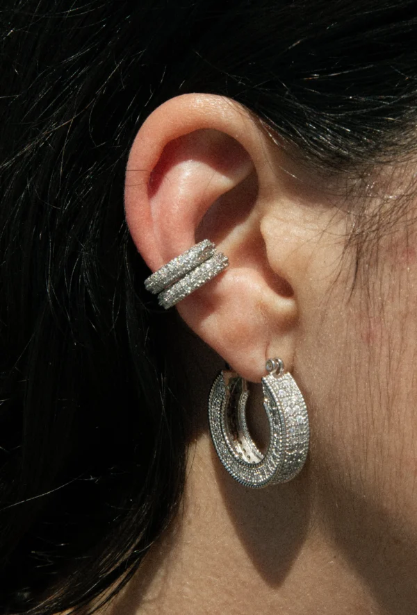 Elegant Hoop Earrings