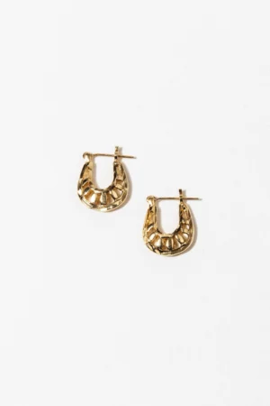 Elegant Hoop Earrings